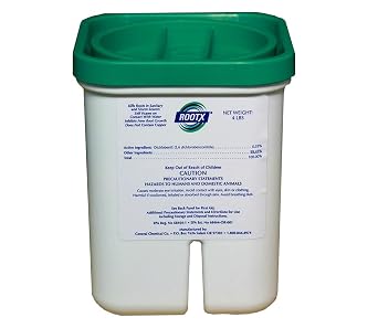 RootX - 4 LB. Jar No. Funnel/Applicator Foaming Root Control for Sewer Lines and Septic System