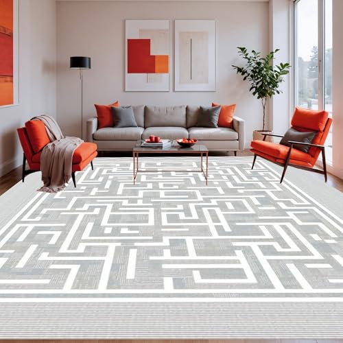 ODIKA Flatwoven High Traffic Area Rug 8x10, Contemporary Maze Design