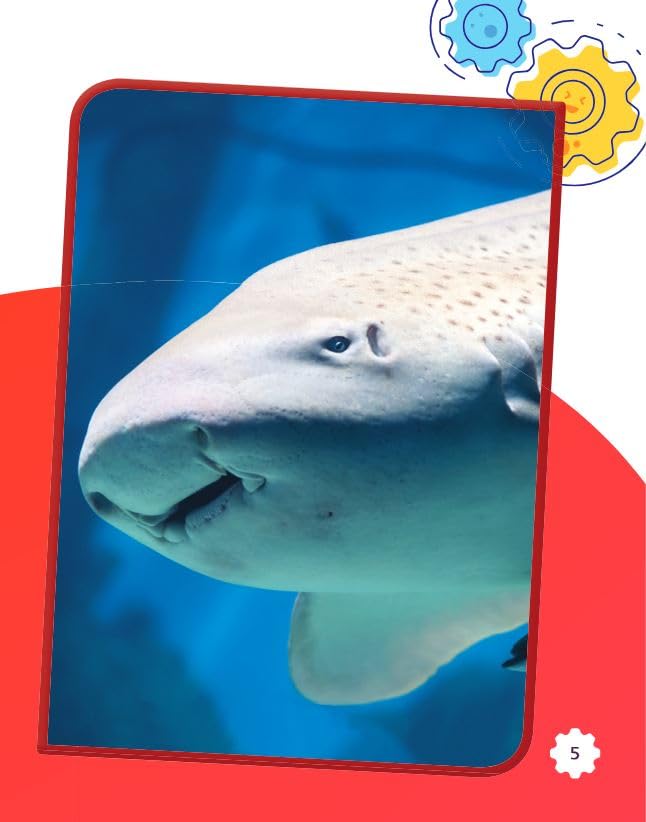 Learning about Sharks (Smithsonian: Informational Text) - Image 6