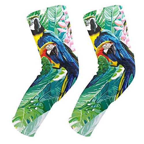 Genouillères de jardinage et sport motif perroquet pour protéger vos genoux