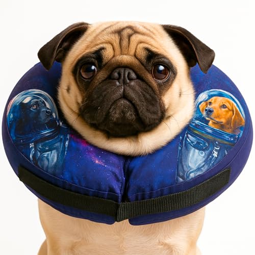 Exclusive Wonder Family - Amazon Marketplace Discounts