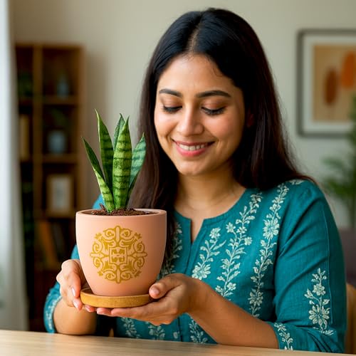Image of Urban Plant Terracotta Pot with Wooden Saucer - Trendy Planter for Modern Home & Garden Spaces (Motif Terracotta Pot - Pink)