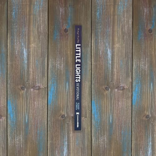 Tiny Truths Little Lights Devotional: Shining God's Light in the World - Image 3