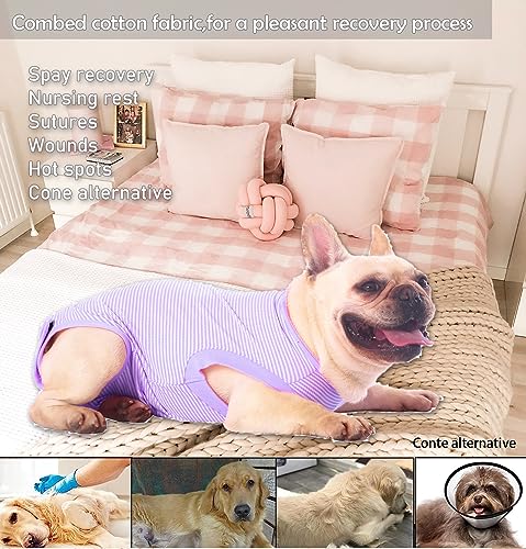 Traje de recuperación para perro talla XS morado a rayas miniatura 5