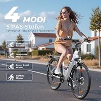 VARUN E Bike, 28 Zoll Ebike Damen Herren mit 48V 499.2Wh Akku, Bis zu 110km – Ansicht 5