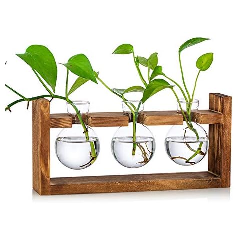 Blumenvase Vintage Kleine Vasen Für Tischdeko Modern Glas Reagenzgläser Für Blumen Mit Ständer Holz Propagation Station Cover