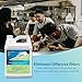 Black Diamond Stoneworks GET SERIOUS Grease Trap Treatment. Commercial Enzyme Drain Opener, Odor Control, Enzyme for Grease Trap Cleaner, and Maintenance. Eliminates Build-Up, Odor, and drain grease.