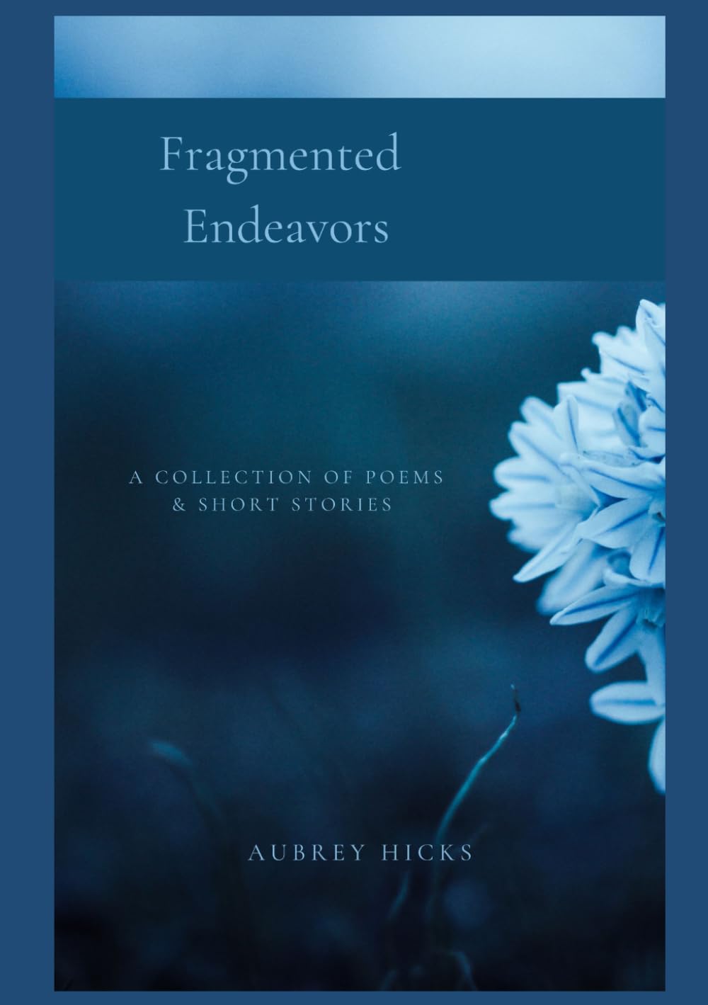 Fragmented Endeavors: A Collection of Poems and Short Stories