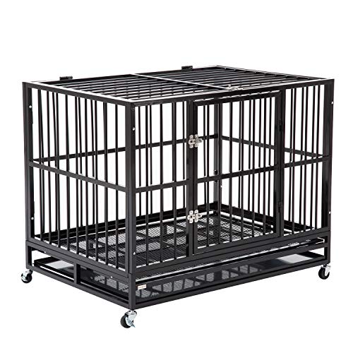 parpet dog crate