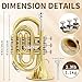 Kmise Bb Portable Pocket Trumpet, Premium Brass Mini Trumpets for Students Beginners, Trumpet Instrument Set with Sturdy Case, 7C Mouthpiece, Beginner's Guide Kit, and Cleaning Kit (Gold Lacquer)
