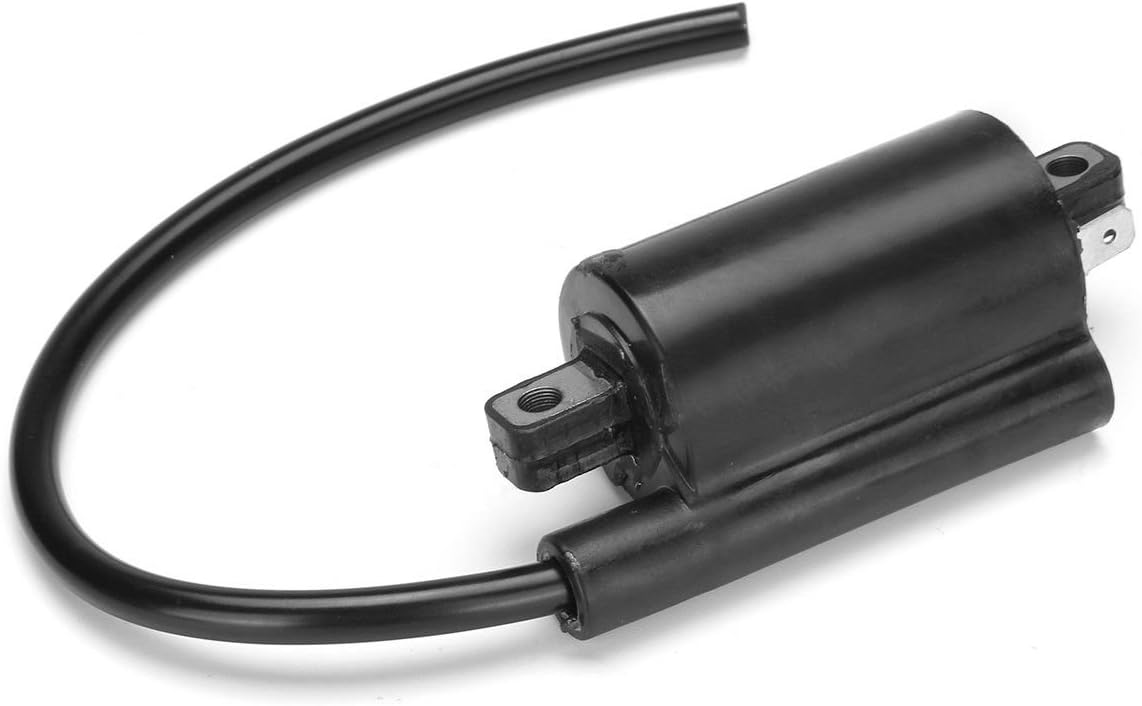 Ignition Coil For Kymco Mongoose 250 270 300 Atv Quad 3051A-KHE7-900