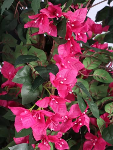 Image of Artificial Bougainvillea Flowers Plants with Pot for Interior Decor /Home Decor /Office Decor (6 Feet, Pink)