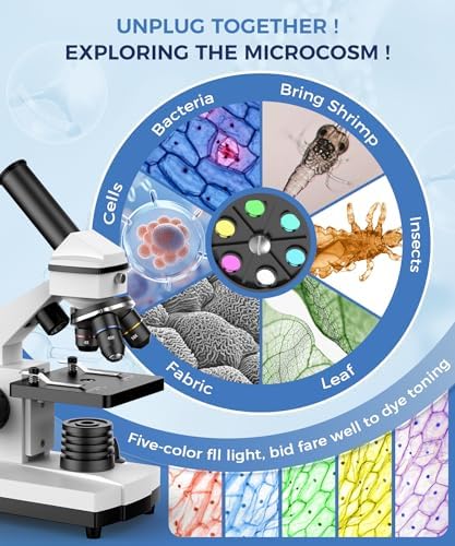 PalliPartners Compound Microscope for Adults & Students, White | 100X-2000X High-Power, Biological Microscope, School Lab & Home Education, with Slides Set & Phone Adapter - View 4