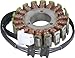 Ricks 22-301 stator (22-301)