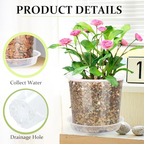Dunpute 40 Pack 4/5/6/7 Inch Clear Nursery Pots With Drainage And Saucer thumb #2