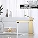 AmirLans Brushed Gold Bathroom Faucets Single Hole, Single Handle Stainless Steel Faucet for Bathroom Sink with Pop Up Stopper, Gold Vanity Faucet AML-1141-BG