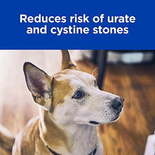 Ração Seca Hills Prescription Diet u/d Cuidado Urinário para Cães Adultos - 3,8 Kg