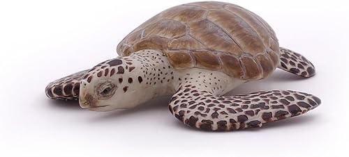 Miniatura 5 de Papo - Figura pintada a mano - Vida marina - Figura de tortuga de loggerhead 56005 - Coleccionable - para niños - Adecuado para niños y niñas - a