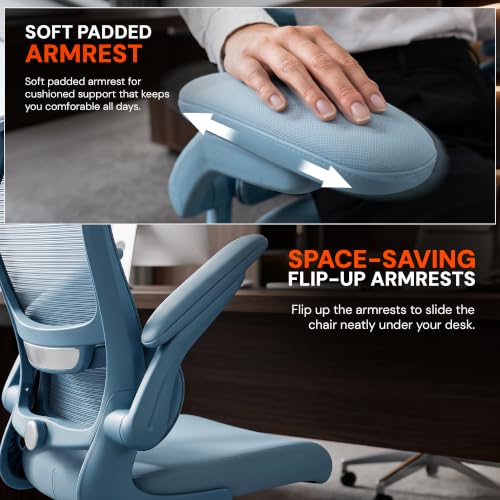 Image of DROGO Chrono Ergonomic Office Chair for Work with Adjustable Lumbar Support | Curved Back Breathable Mesh | Computer Chair With 135 Recline |2D Padded Armrests & Heavy Nylon Base, 1-Yr Warranty(Blue)