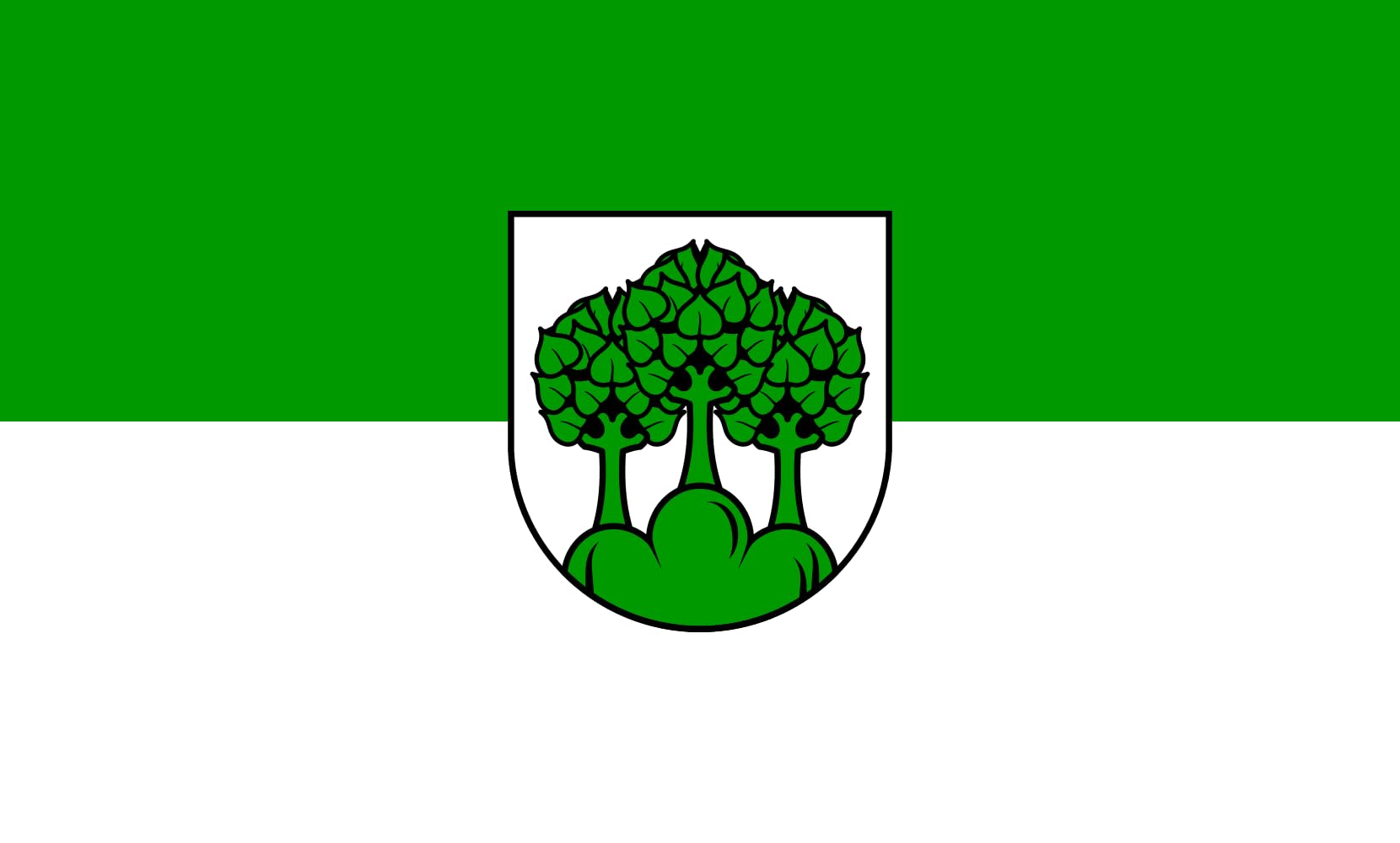 Drapeau Large Hochdorf de 1.35m² pour pavoiser votre jardin