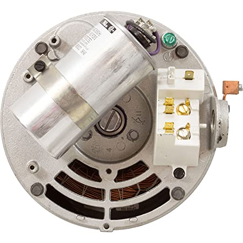 ASB843 | 2 hp 3450 RPM 56Y Frame 208-230V Square Flange Pool Motor US Electric Motor - Image 5