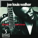 Blues Survivor