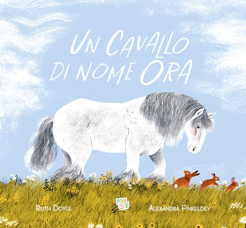 Un Cavallo Di Nome Ora. Ediz. A Colori