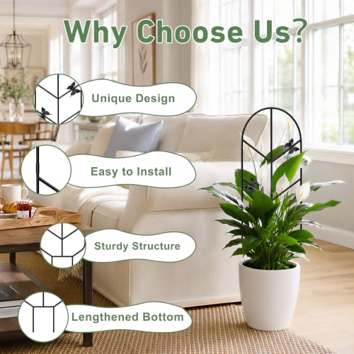 Image of Plant Trellis for Potted Plants, Trellis for Climbing Plants