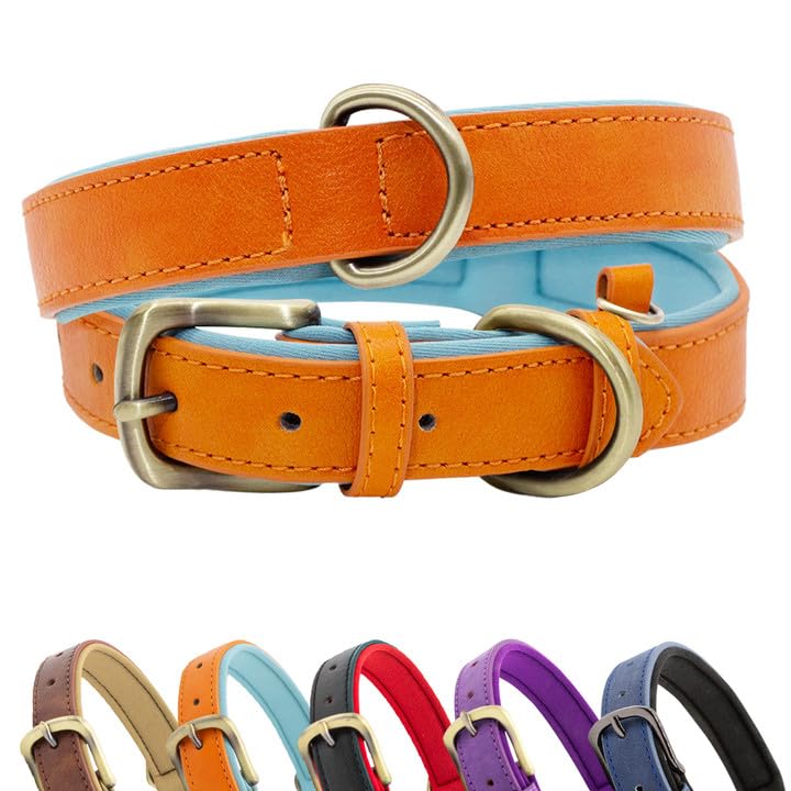 Leather Soft Padded Dog Collar Breathable Adjustable Waterproof Tactical Pet Collar with Metal Buckle for Small Medium Dogs (XL, Orange Blue)