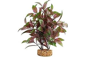 Fluval Aqualife Broad Leaf Red Ludwigia Plant: Vibrant Plastic Aquarium Plant Decoration