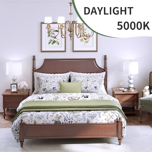evelor A19 LED Light Bulbs,100 Watt Equivalent Daylight 5000K Efficient 13W,1500 Lumens E26 Base, Non-Dimmable, 15000-Hour Lifespan for Bedroom, Living Room, Office, 6-Packs - image 7