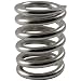 Vibrato 1" Tension Spring, Bigsby, Stainless