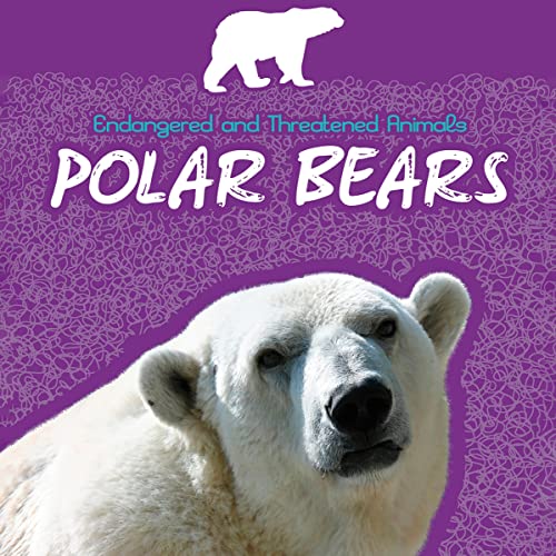 Polar Bears by Kathy Allen, Andrew Derocher PhD episode artwork