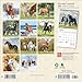Horse Lovers | 2025 7 x 14 Inch Monthly Mini Wall Calendar | Plastic-Free | BrownTrout | Animals Equestrian