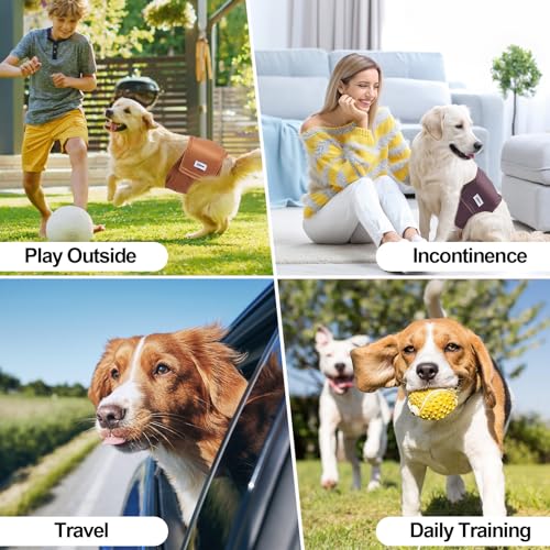 Waschbare Hundediaper für m. Hunde (3er Pack, Größe S). Premium, stark saugfähige Bauchbinden – geeignet für Inkontinenz, aufgeregtes Harnen & Training.