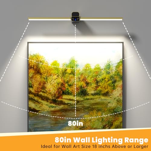 Lightbiz Picture Light for Wall 20inch, 10000mAh Rechargeable Battery Operated Cordless Dimmable Wall Lights for Picture on Wall with Remote Timmer, Picture Lights for Gallery Artwork, Paintings
