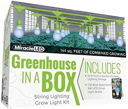 Miracle LED Kit de cultivo de estufa em uma caixa para plantas de...