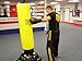 Physical Success Inflatable Punching Bag Workout for Beginners DVD ONLY No Punching Bag.