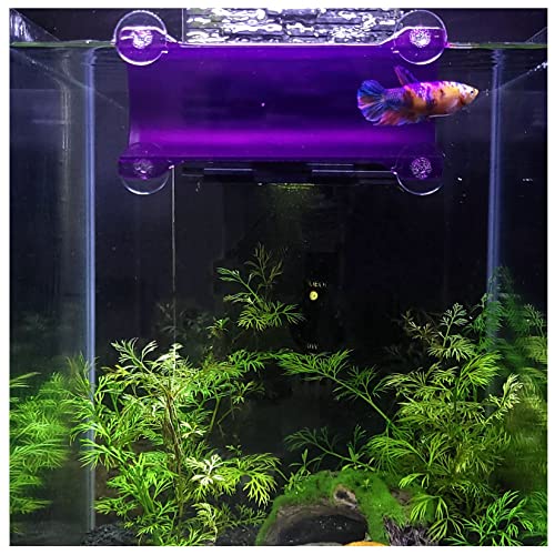 Image of Brand Betta Tunnel (Translucent Purple)
