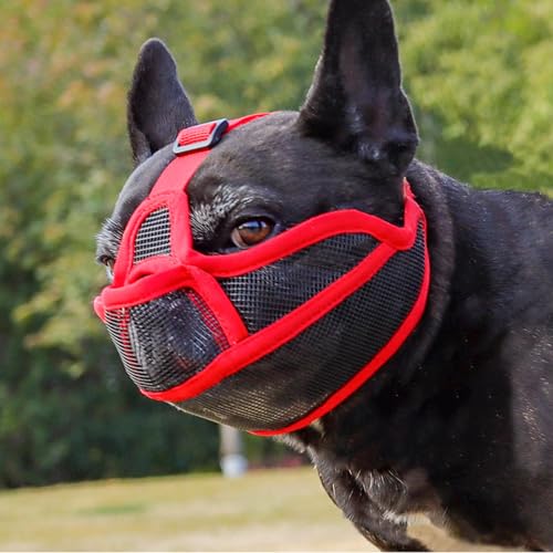 Maulkorb Hunde mit Kurzer Schnauze für Französische Bulldogge und Pitbulls, Abgeflachter Schnauze Hunde Maulkorb für Shih Tzu und Mops, Anti Beißen Kauen Bellen, ermöglichen Atmen und Trinken (Rot,S)
