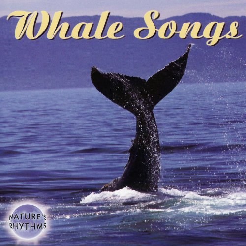 Whales Riddim Play Nature's Rhythms - Whale Songs by Nature's Rhythms on Amazon Music