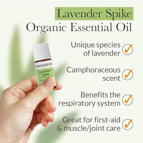 Pranarom - Aceite Esencial Lavanda Spike 5ml miniatura 3