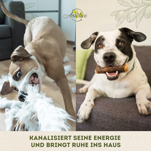 Anlolive | Pack 3 Natürliche Kausticks Größe S 15 cm | Für Kleine Hunde | Olivenholz-Stick | Sicheres, Gesundes und Langlebiges Spielzeug | Pflegt die Zähne, Reduziert Angst und Stärkt den Kiefer