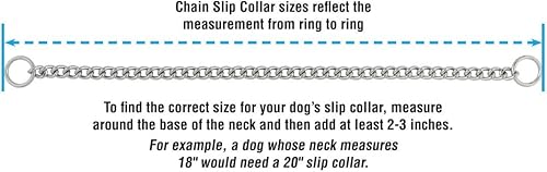 Miniatura 7 de Terrain DOG Collar de cadena deslizante cromado