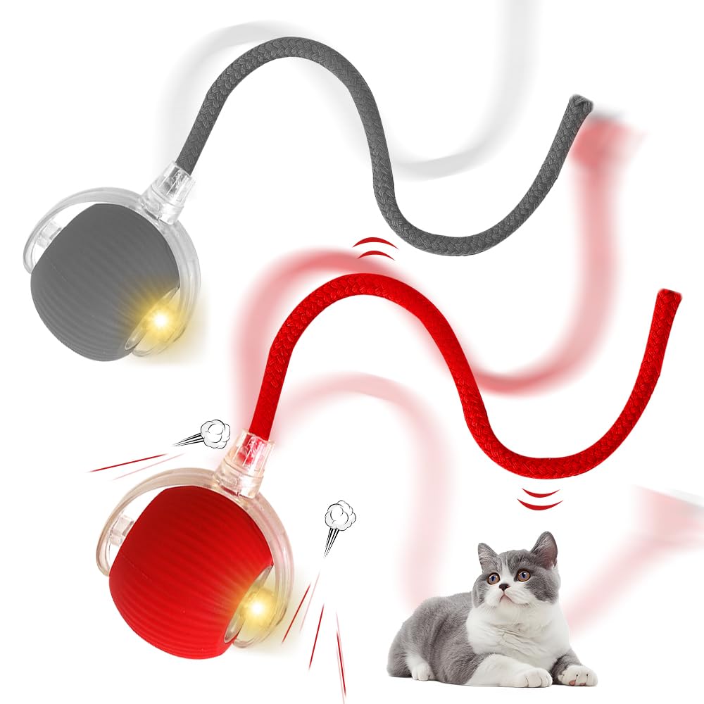 SGZIOO 2 PCS Interactive Cat Ball Toy, Cat Toy Ball with Tail, Rechargeable, Active Rolling for cats, 360° Smart Automatic, Red + Grey
