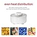 NESCO Food Dehydrator, 4 Trays, Speckled White