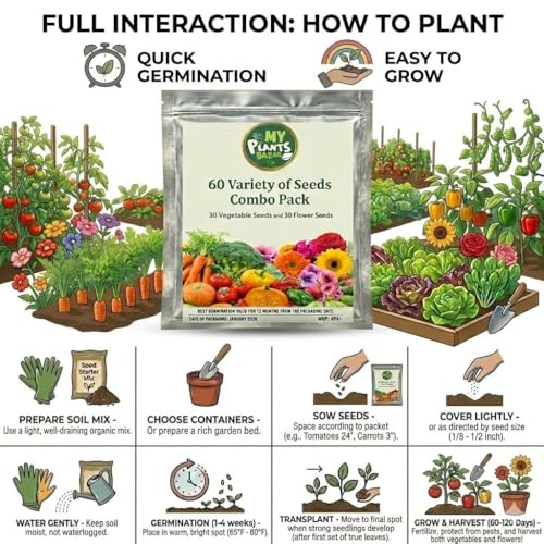 Image of All Season Seeds Combo - 60 Variety Pack | Veg + Flower Seeds | 3700+ Seeds | High Germination | Home Gardening Kit for Balcony, Terrace & Garden