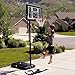 Lifetime 51550 Courtside Portable Basketball Hoop, 48-Inch Backboard