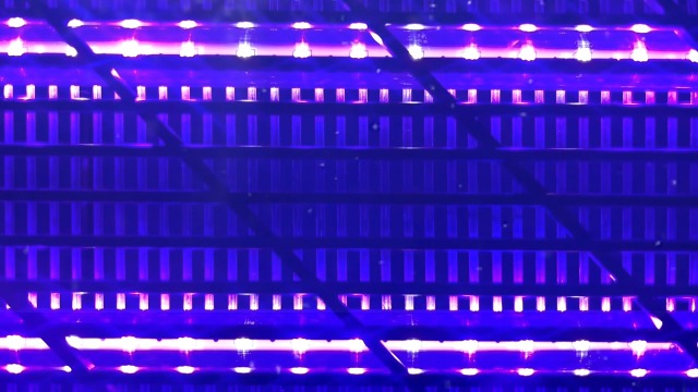 Amazon.com : GeckoMan LED Indoor Bug Zapper Indoor Fruit Fly Trap