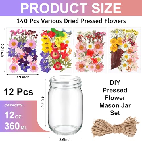 Set DIY de 12 Frascos Mason con Flores Secas miniatura 2